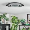 Lidor Deckenleuchte LED Schwarz, 1-flammig