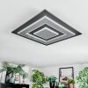 Lidor Deckenleuchte LED Schwarz, 1-flammig