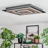 Lidor Deckenleuchte LED Schwarz, 1-flammig