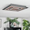 Lidor Deckenleuchte LED Schwarz, 1-flammig