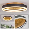 Guine Deckenleuchte LED Gold, Schwarz, 1-flammig