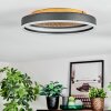 Guine Deckenleuchte LED Gold, Schwarz, 1-flammig
