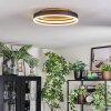 Guine Deckenleuchte LED Gold, Schwarz, 1-flammig