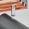 Orlan Deckenleuchte Chrom, Naturfarben, Schwarz, 2-flammig