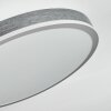 Salmi Deckenpanel LED Grau, Silber, 1-flammig, Fernbedienung