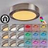 Omaro Deckenpanel LED Nickel-Matt, 1-flammig