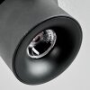 Narel Deckenleuchte LED Schwarz, 1-flammig