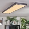 Salmi Deckenpanel LED Grau, Silber, 1-flammig, Fernbedienung