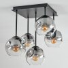 Ripoll Deckenleuchte Glas 15 cm Klar, Rauchfarben, 5-flammig