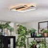 Olian Deckenleuchte LED Schwarz, Silber, 1-flammig