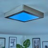 Omaro Deckenpanel LED Nickel-Matt, 1-flammig