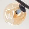 Ripoll Deckenleuchte Glas 15 cm Bernsteinfarben, Klar, Rauchfarben, 5-flammig
