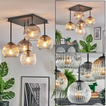 Ripoll Deckenleuchte Glas 15 cm Bernsteinfarben, Klar, Rauchfarben, 5-flammig