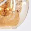 Ripoll Hängeleuchte Glas 20 cm Bernsteinfarben, Klar, Rauchfarben, 6-flammig