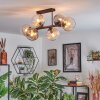 Koyoto Deckenleuchte Glas 15 cm Bernsteinfarben, Klar, Rauchfarben, 6-flammig