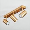 Javel Deckenleuchte Gold, 3-flammig