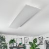 Orain Deckenpanel LED Weiß, 1-flammig, Farbwechsler