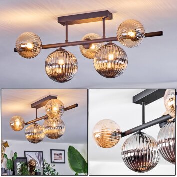 Chehalis Deckenleuchte Glas 12 cm, 15 cm Schwarz, 5-flammig