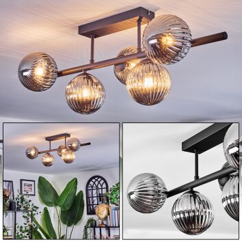 Chehalis Deckenleuchte Glas 12 cm Rauchfarben, 5-flammig