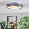 Salmi Deckenpanel LED Grau, Silber, 1-flammig