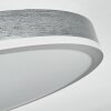 Salmi Deckenpanel LED Grau, Silber, 1-flammig