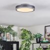 Salmi Deckenpanel LED Grau, Silber, 1-flammig