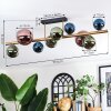Chehalis Deckenleuchte Glas 10 cm, 12 cm, 15 cm Gold, Schwarz, 10-flammig