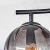 Koyoto Deckenleuchte Glas 15 cm Klar, Rauchfarben, 2-flammig