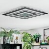 Lidor Deckenleuchte LED Anthrazit, Grau, Schwarz, 1-flammig