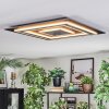 Lidor Deckenleuchte LED Anthrazit, Grau, Schwarz, 1-flammig
