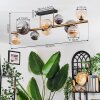 Chehalis Deckenleuchte Glas 10 cm, 12 cm, 15 cm Gold, Schwarz, 10-flammig