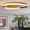 Trapani Deckenleuchte LED Gold, Schwarz, 1-flammig, Fernbedienung