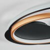 Trapani Deckenleuchte LED Gold, Schwarz, 1-flammig, Fernbedienung