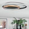 Trapani Deckenleuchte LED Gold, Schwarz, 1-flammig, Fernbedienung