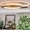 Trapani Deckenleuchte LED Gold, Schwarz, 1-flammig, Fernbedienung