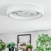 Rarel Deckenleuchte LED Silber, Weiß, 1-flammig