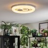 Rarel Deckenleuchte LED Silber, Weiß, 1-flammig