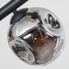 Ripoll Deckenleuchte Glas 15 cm Bernsteinfarben, Klar, Rauchfarben, 6-flammig