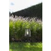 Lutec Lampen FIA Sockelleuchte Schwarz, 1-flammig