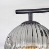 Ripoll Deckenleuchte Glas 15 cm Klar, Rauchfarben, 2-flammig