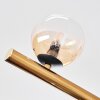 Chehalis Deckenleuchte Glas 10 cm, 12 cm, 15 cm Gold, Schwarz, 10-flammig