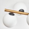 Gastor Deckenleuchte Glas 15 cm Gold, Schwarz, 8-flammig