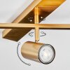Javel Deckenleuchte Gold, 5-flammig