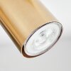 Javel Deckenleuchte Gold, 5-flammig