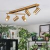 Javel Deckenleuchte Gold, 5-flammig