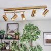 Javel Deckenleuchte Gold, 5-flammig