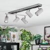 Javel Deckenleuchte Chrom, Grau, Schwarz, 5-flammig
