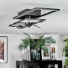Hyacinthe Deckenventilator mit Beleuchtung LED Chrom, Schwarz, 1-flammig, Fernbedienung