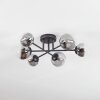 Chehalis Deckenleuchte Glas 10 cm, 12 cm Klar, Rauchfarben, 6-flammig