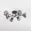 Chehalis Deckenleuchte Glas 12 cm Klar, Rauchfarben, 6-flammig